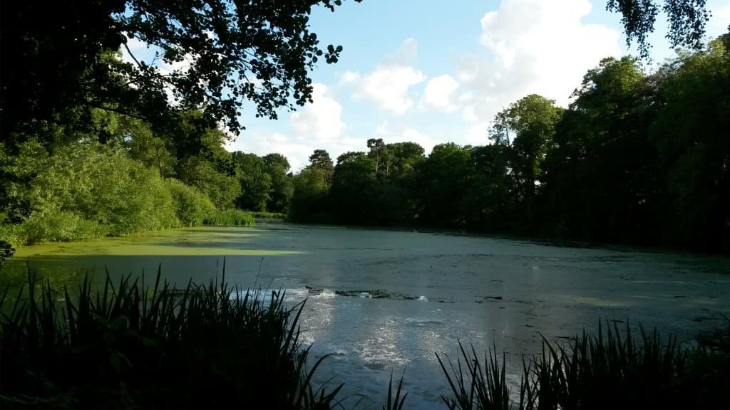 Pendeford Mill Nature Reserve