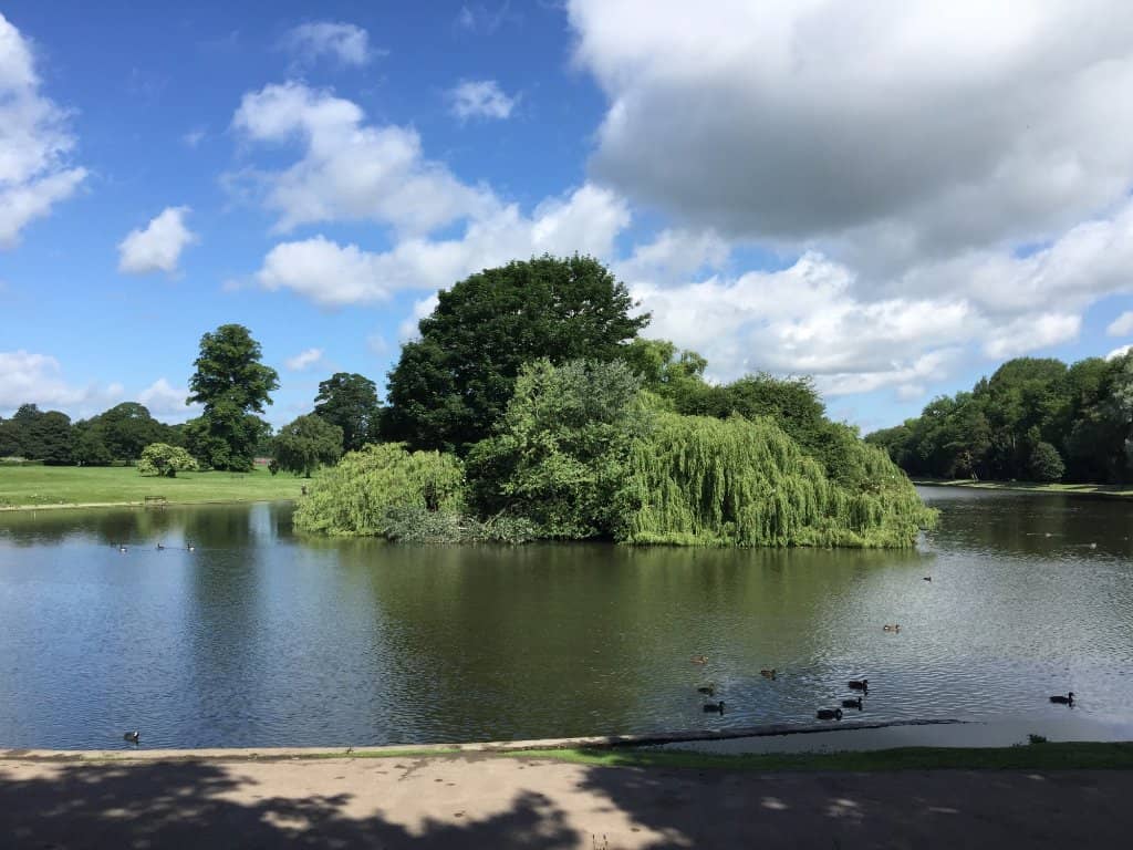 Ornamental Lake
