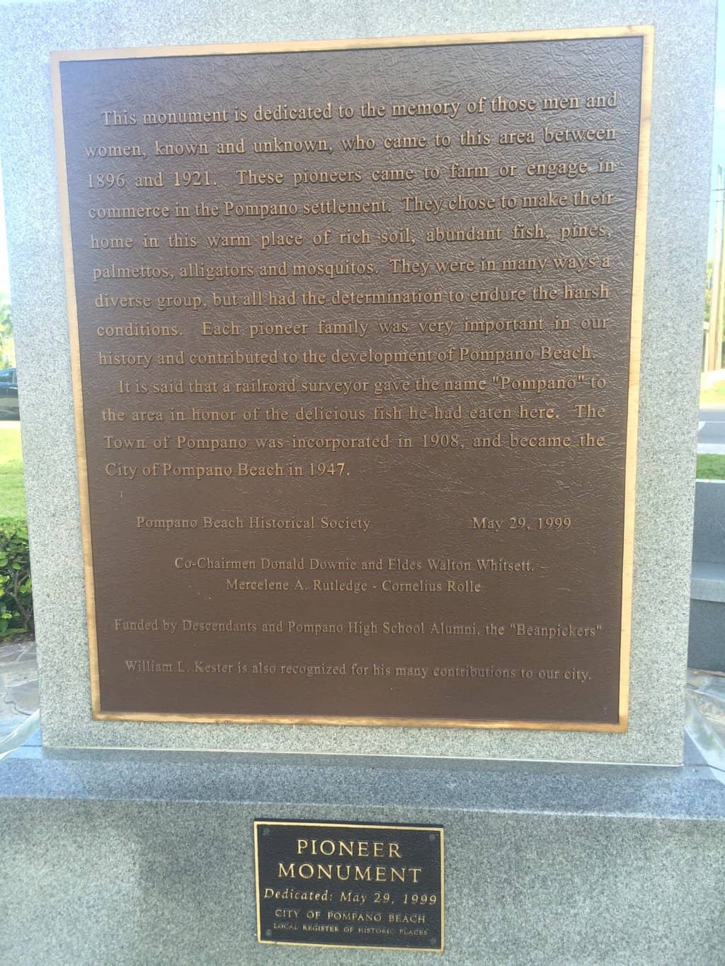 Variety of Live Performances