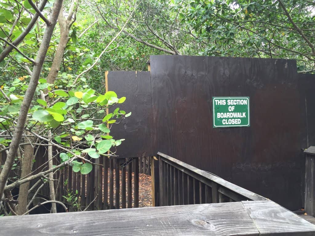Elevated Boardwalks & Observation Pier