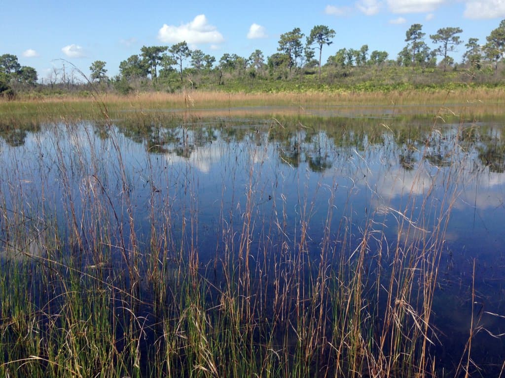 One of the Tubb lakes