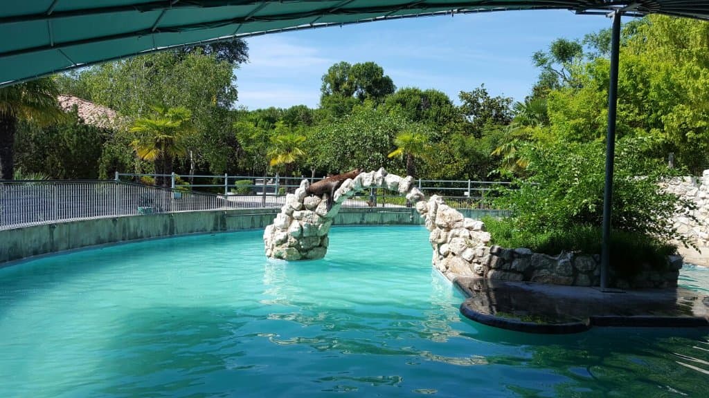 Parco Zoo Punta Verde