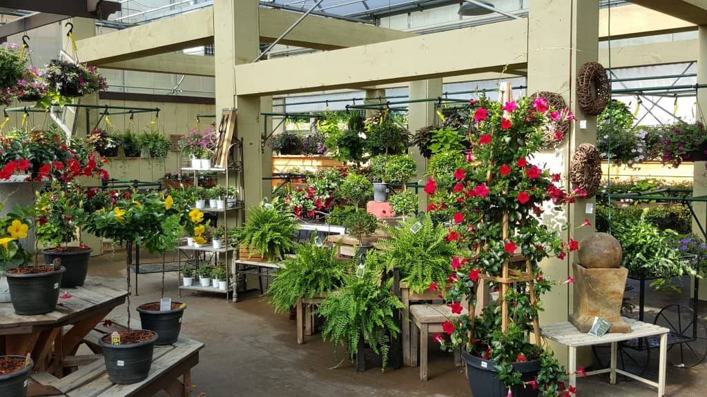 The Greenhouse Cafe