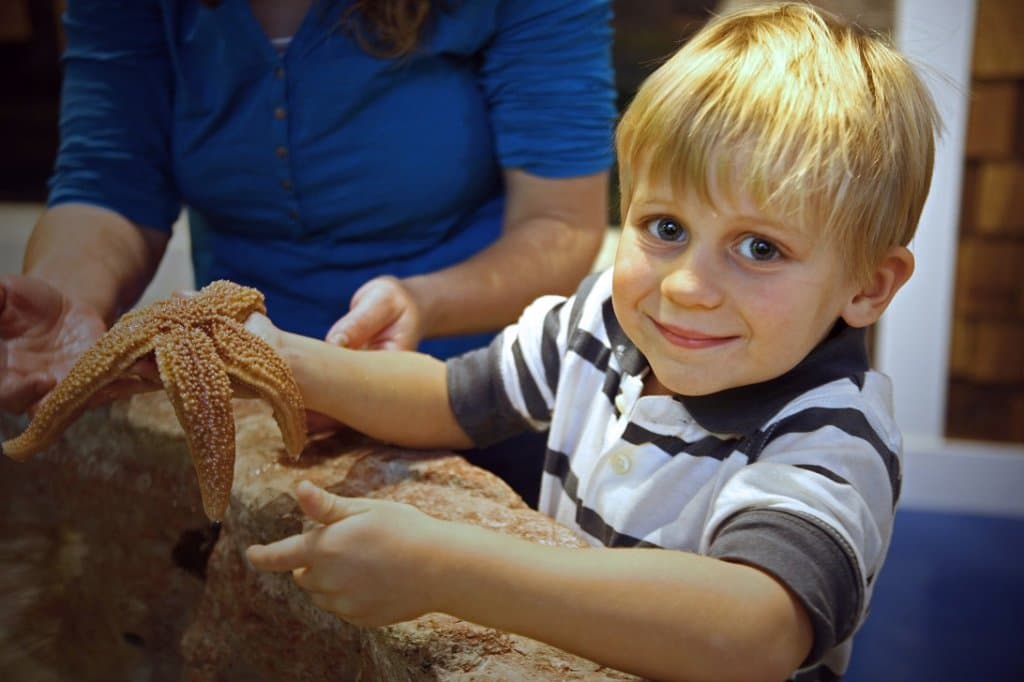 Creation - Saltwater Touch Tank