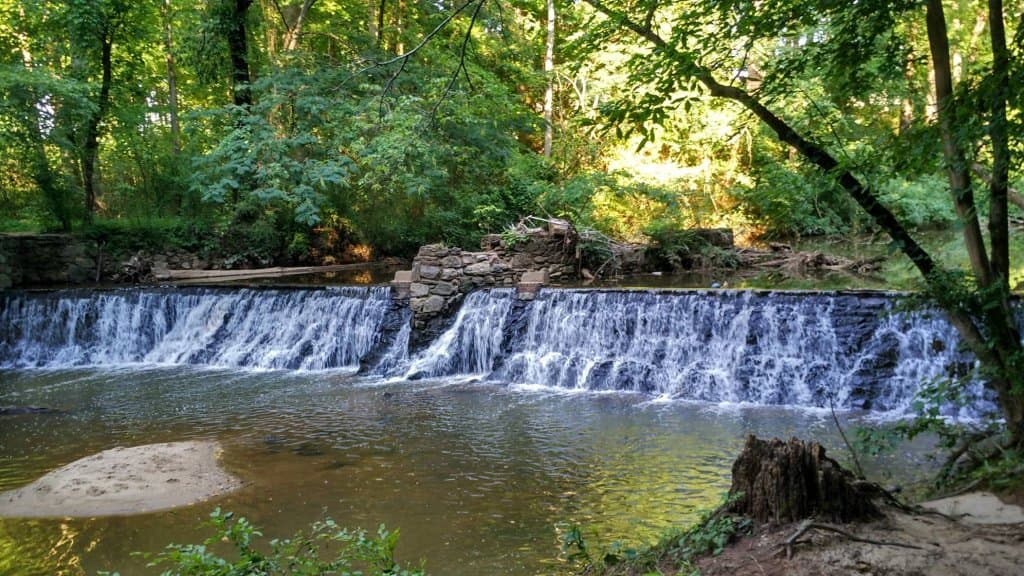 Lullwater Preserve