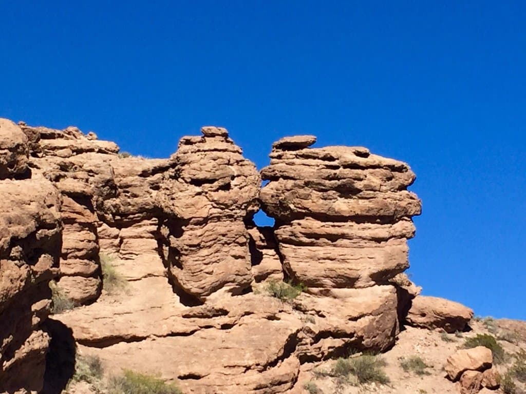 Sevilleta National Wildlife Refuge New Mexico