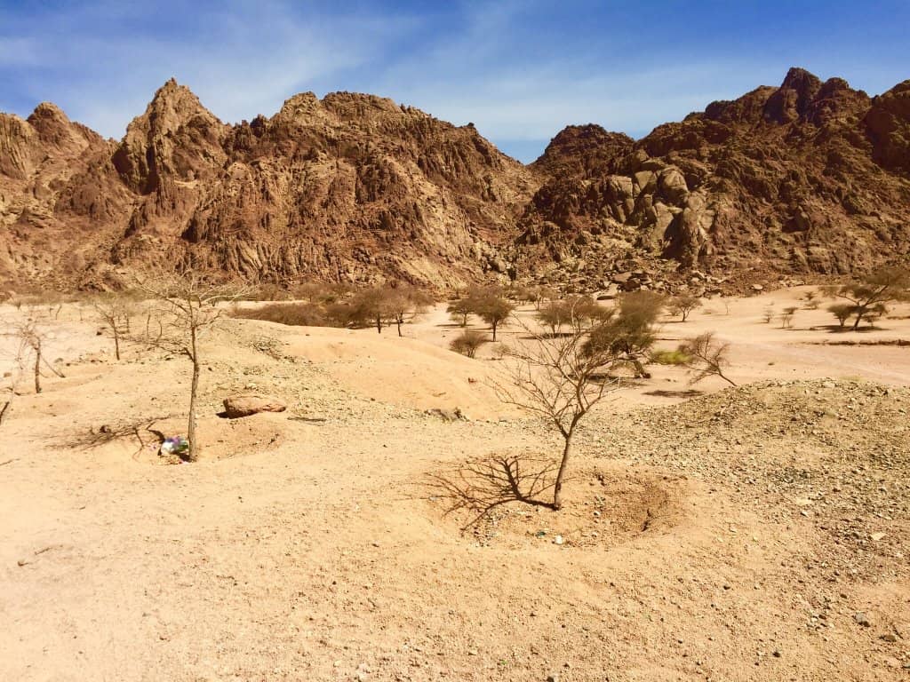 Stunning Desert Landscape