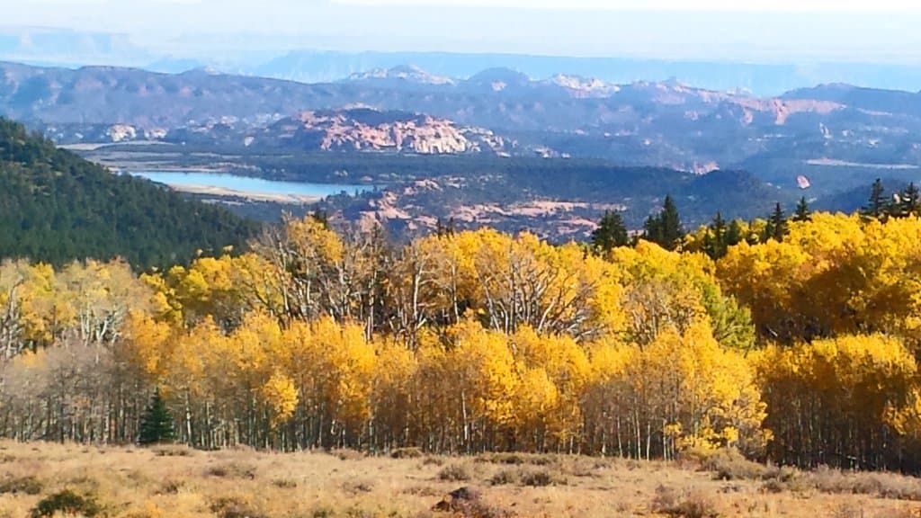 View from Larb Hollow