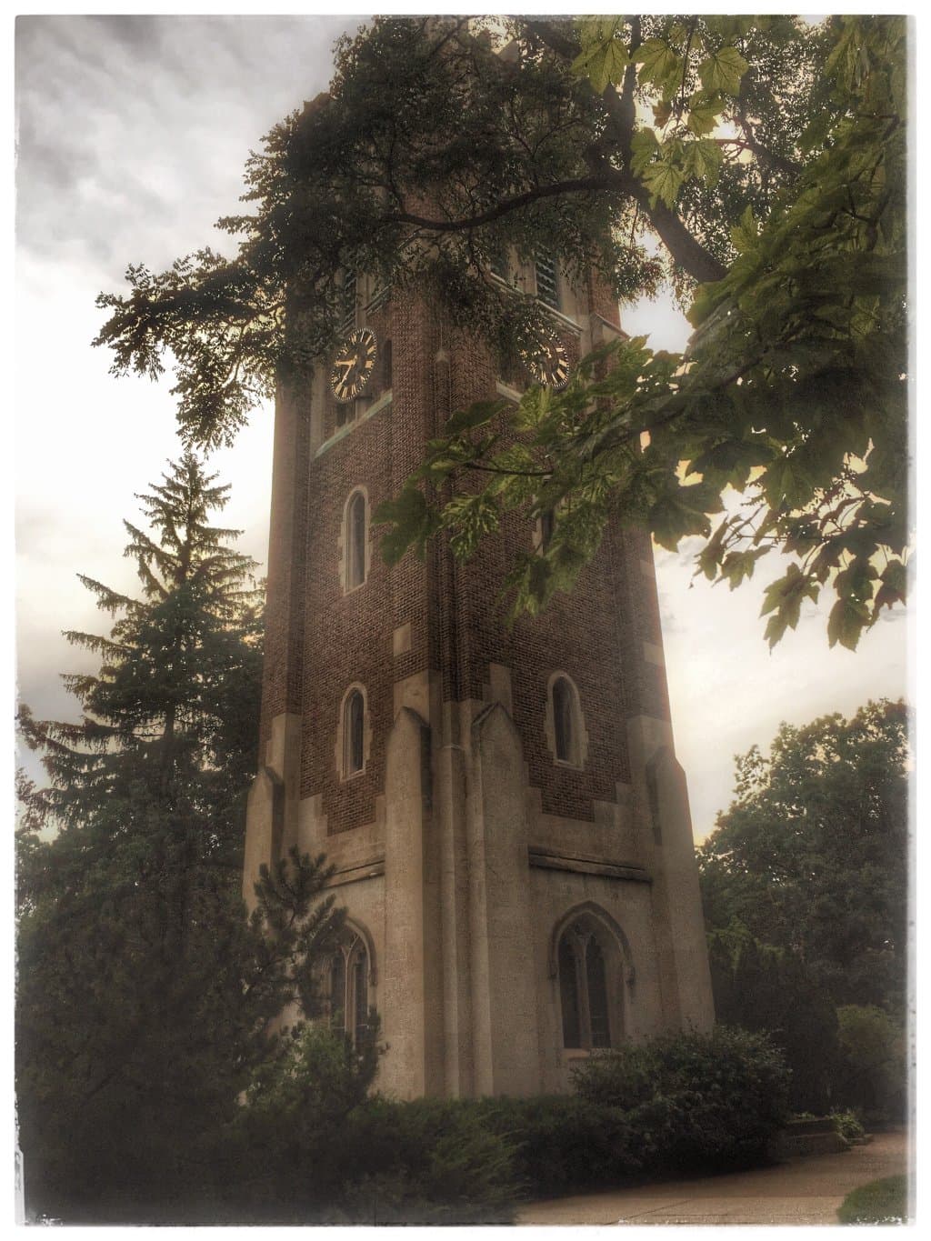 Michigan State University