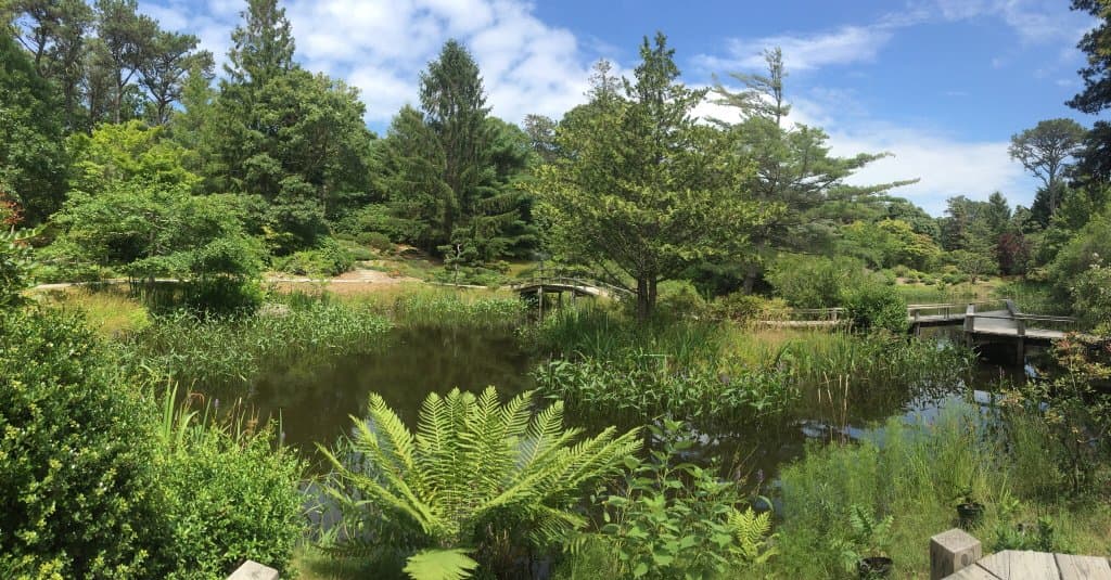 Cape Poge Wildlife Refuge