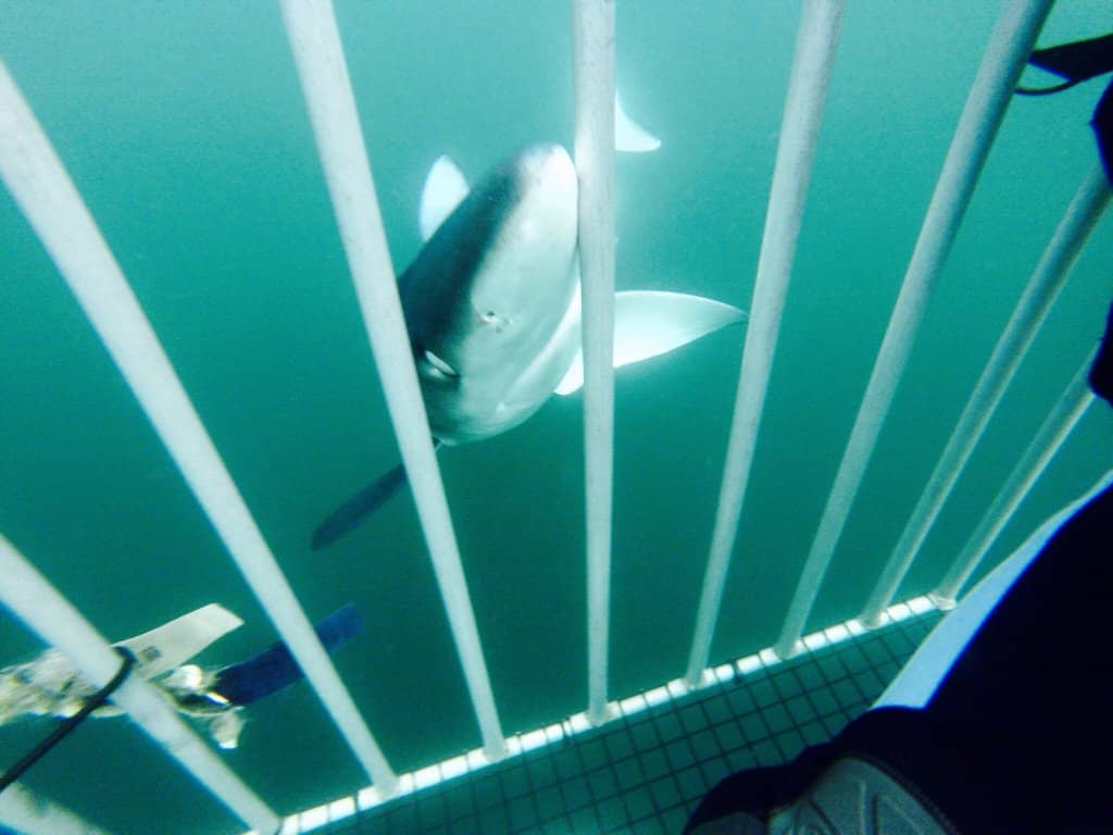 Family-Friendly Atmosphere