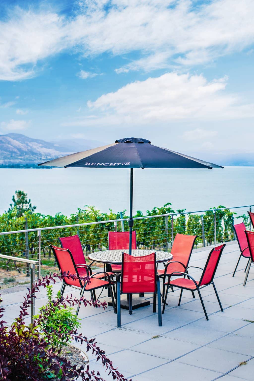 Evolve Sparkling House