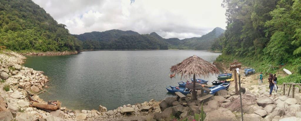 Forest Trails & Viewpoints