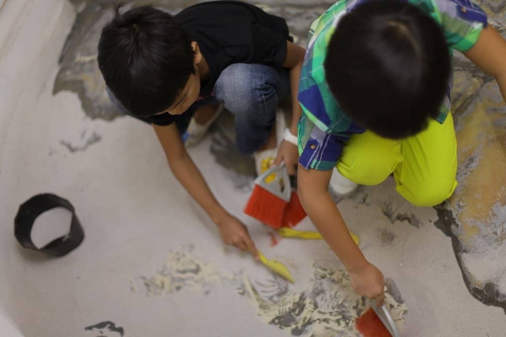 The Giant Brain Model