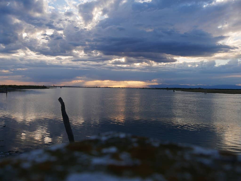 The Tranquil Village