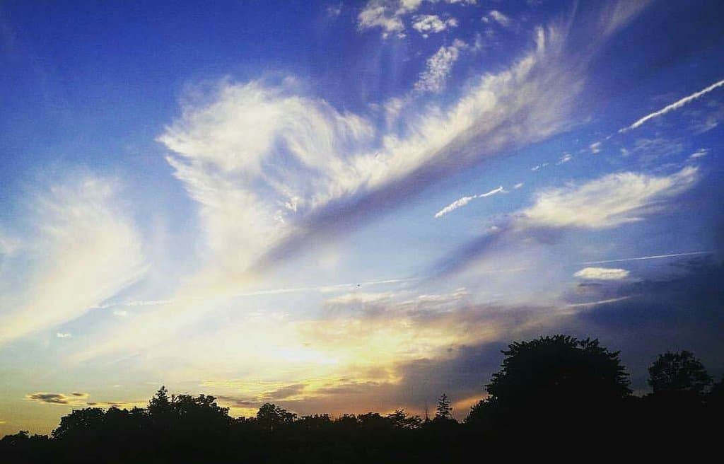 Blessed to have this park near home. Great trails for walking and biking. Plenty of playgrounds