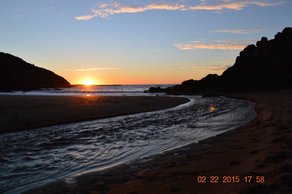 Forest Hiking Trails