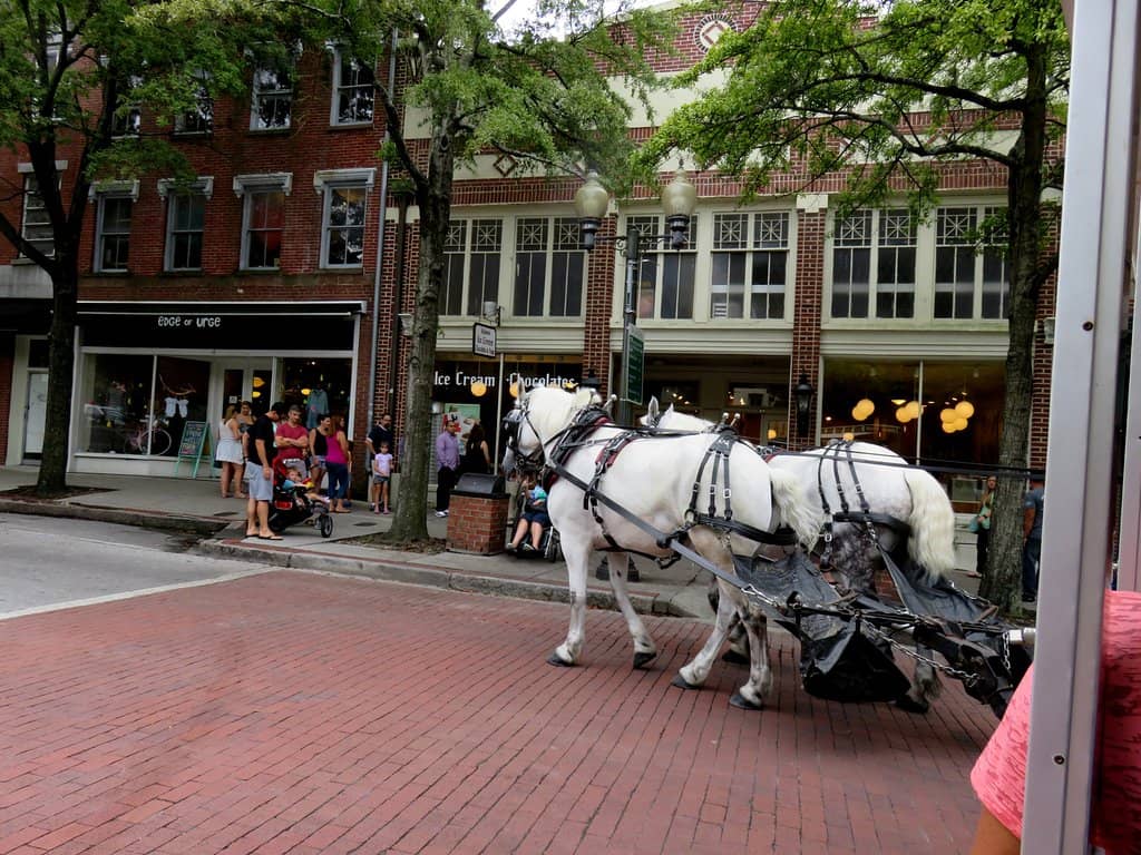 Historic Horse-Drawn Carriage Tours