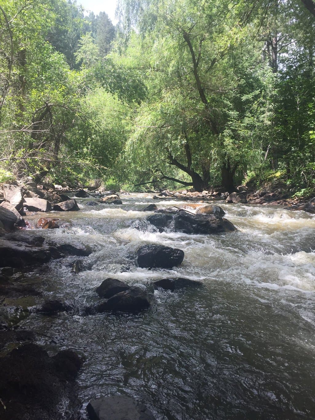 Lair o' the Bear Park