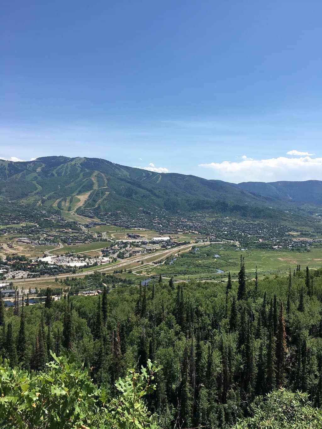 Alpine Slide & Coaster