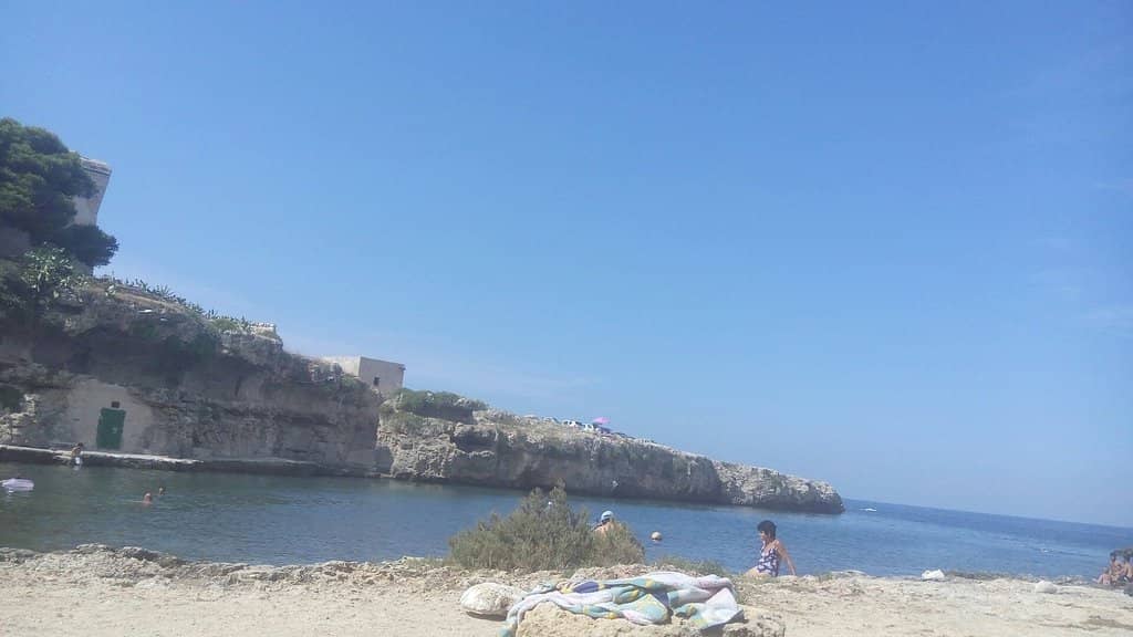 Cliff Jumping Opportunities