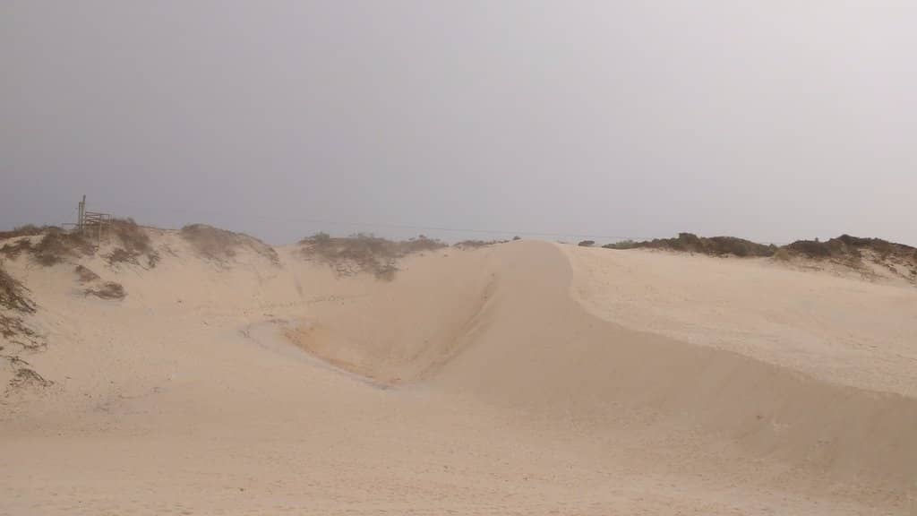 Sandboarding Thrills
