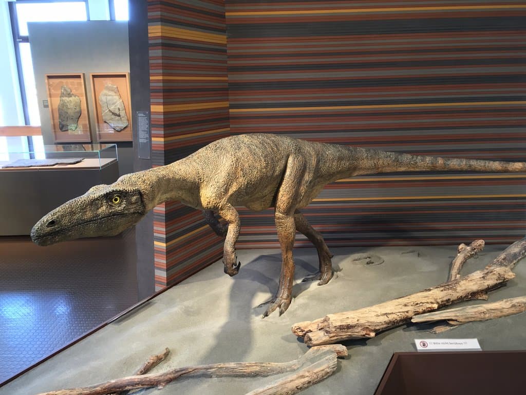 Bundner Naturmuseum