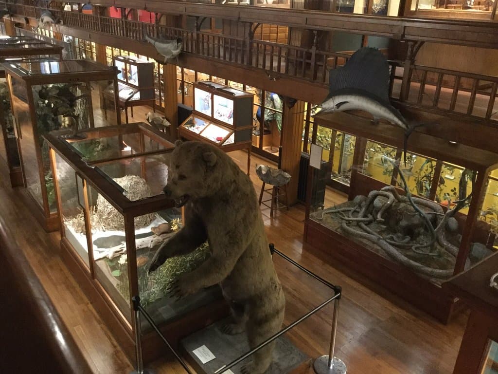 St. Johnsbury History & Heritage Center