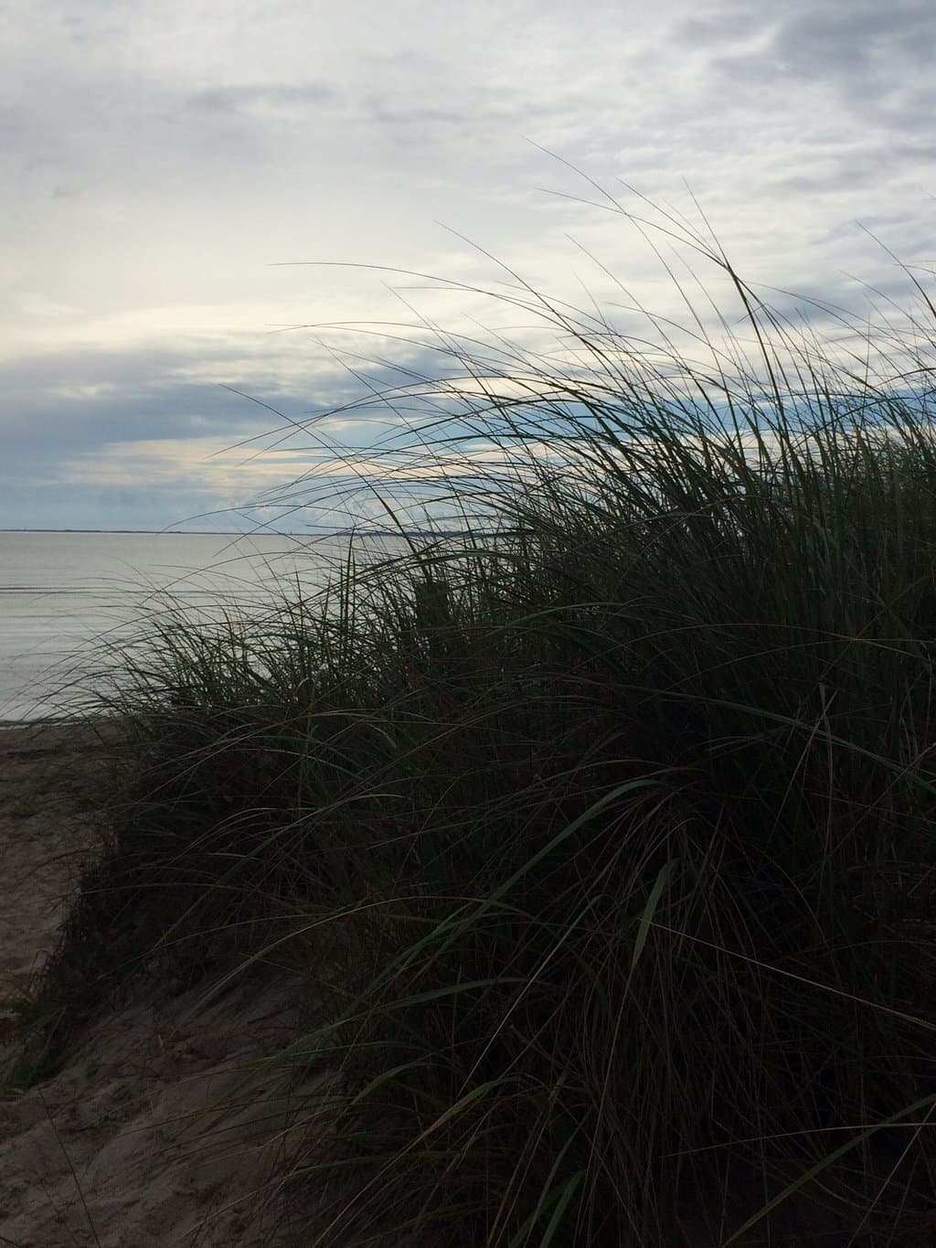 Summer at Cold Storage Beach.