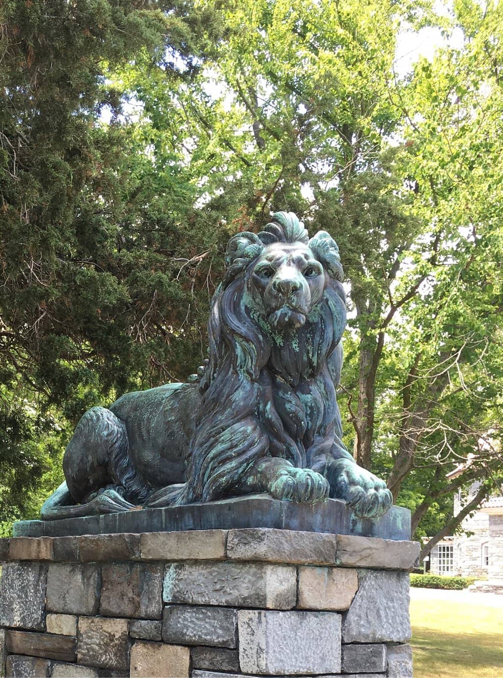 Sports Fields Galore