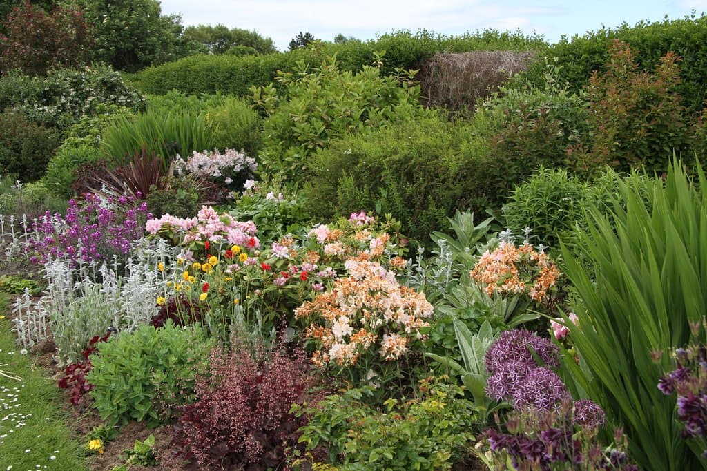 If the volunteers are there they will help you identify any plants