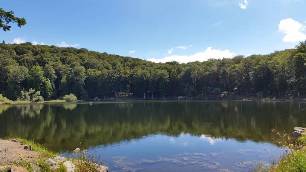 Scenic Walking Trails