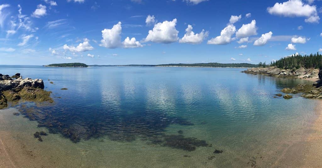Sand Sculpture Competition