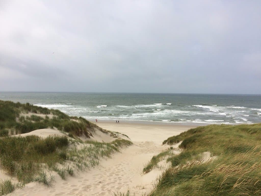 The path to the sea that comes out of the dunes