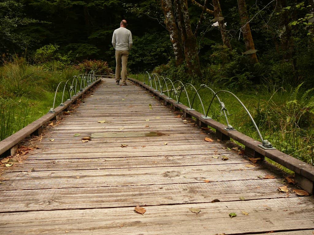 Accessible Boardwalk