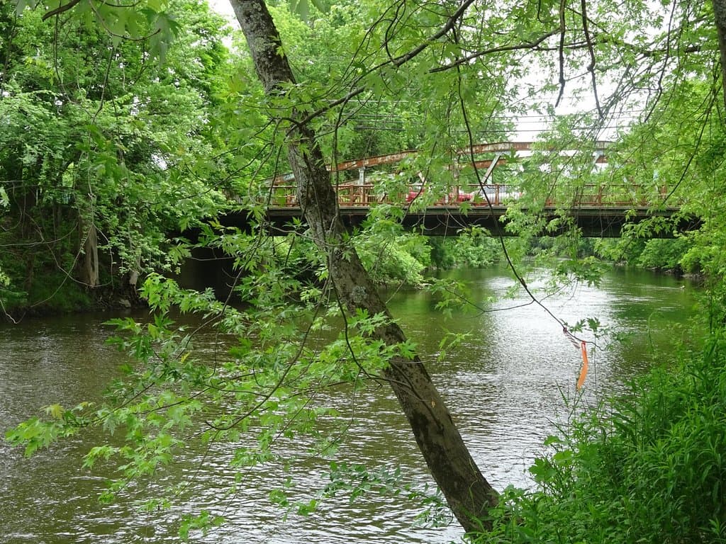 View of River from Trail