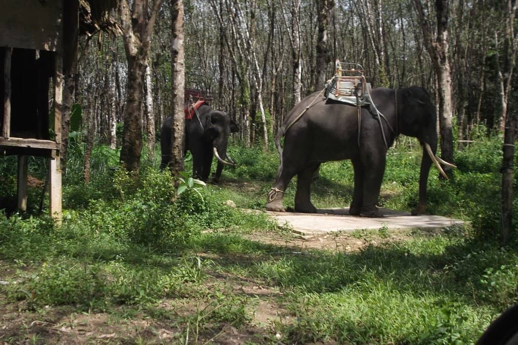 Beachfront Dining & Drinks