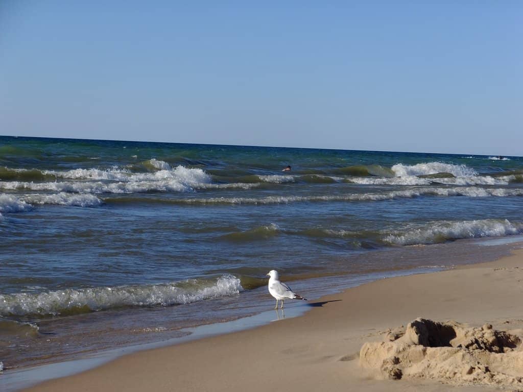 Lake Michigan Sunsets