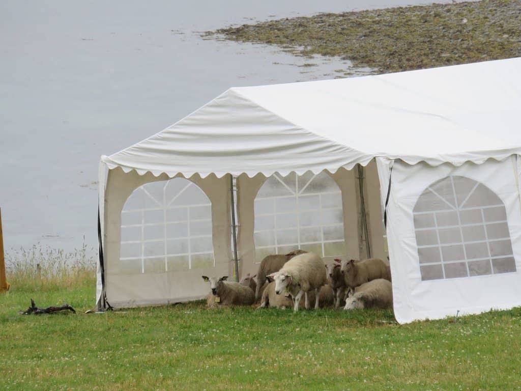 Tautra Kloster (Modern Convent)