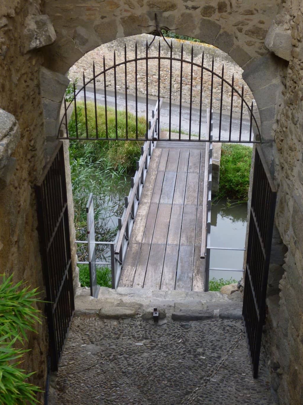 Vertical photo