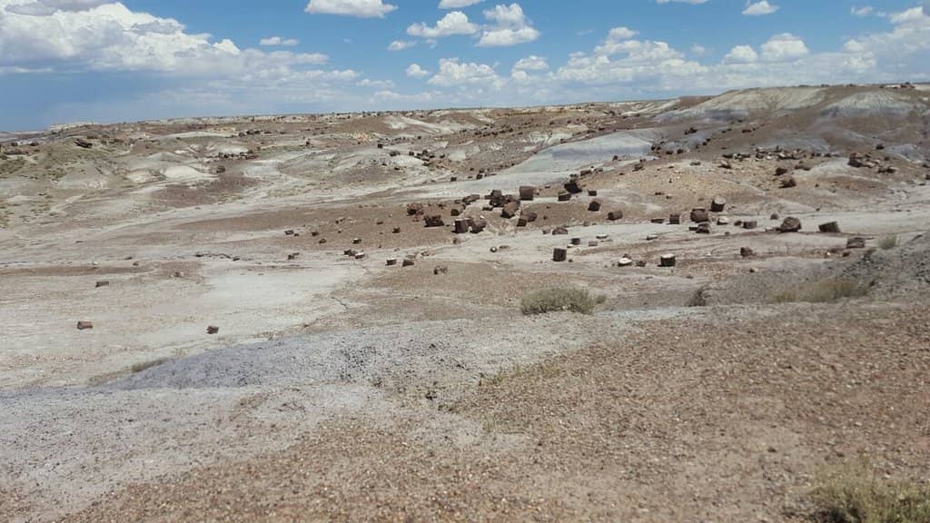 Painted Desert Views