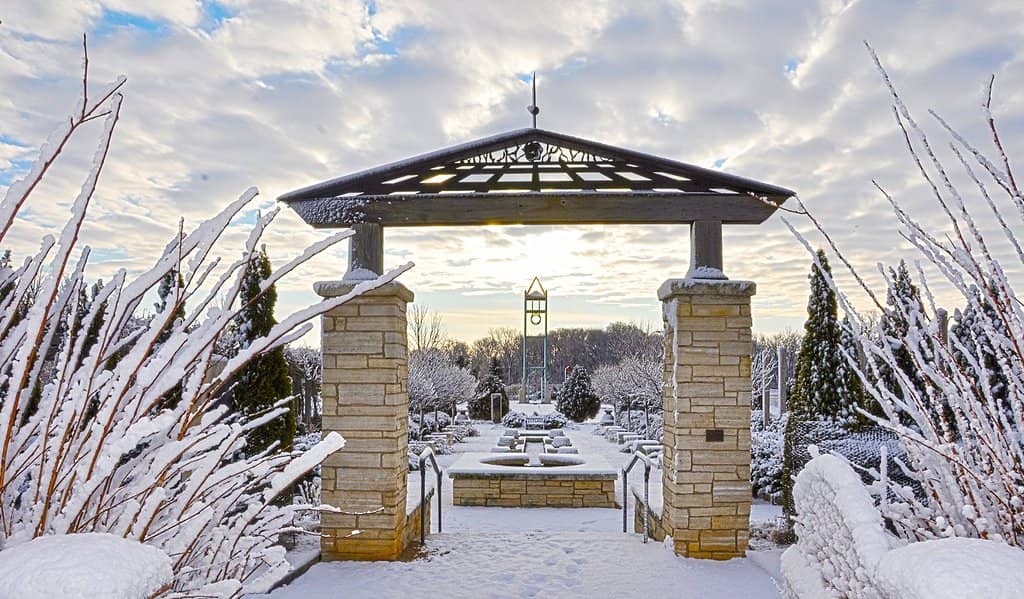 Winter Wonderscape Light Show