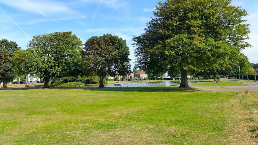 Community Kitchen Garden