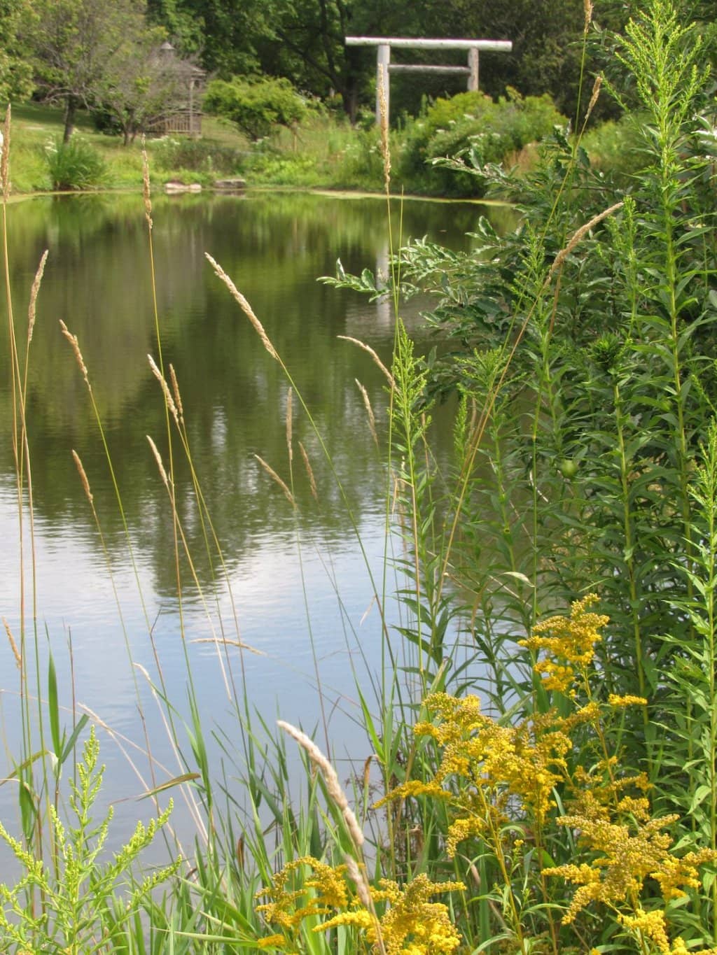 Tranquil Pond and Gazebo