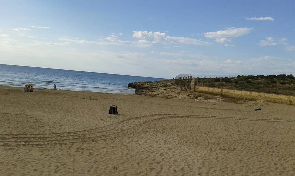 Inclusivity & Relaxation