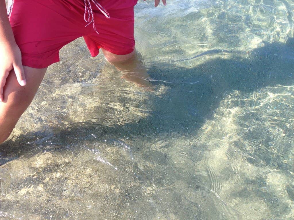 Vertical photo
