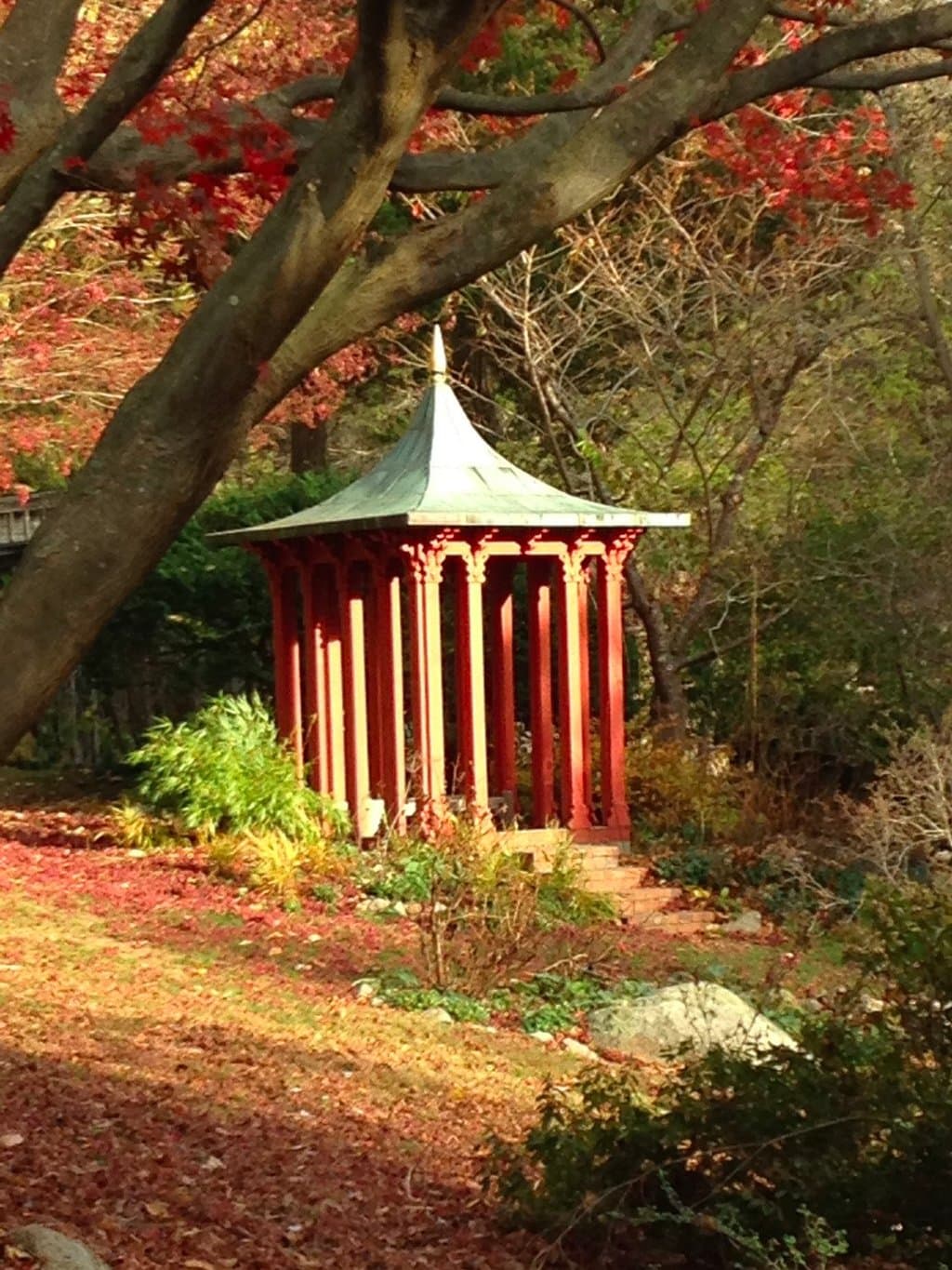 Autumn