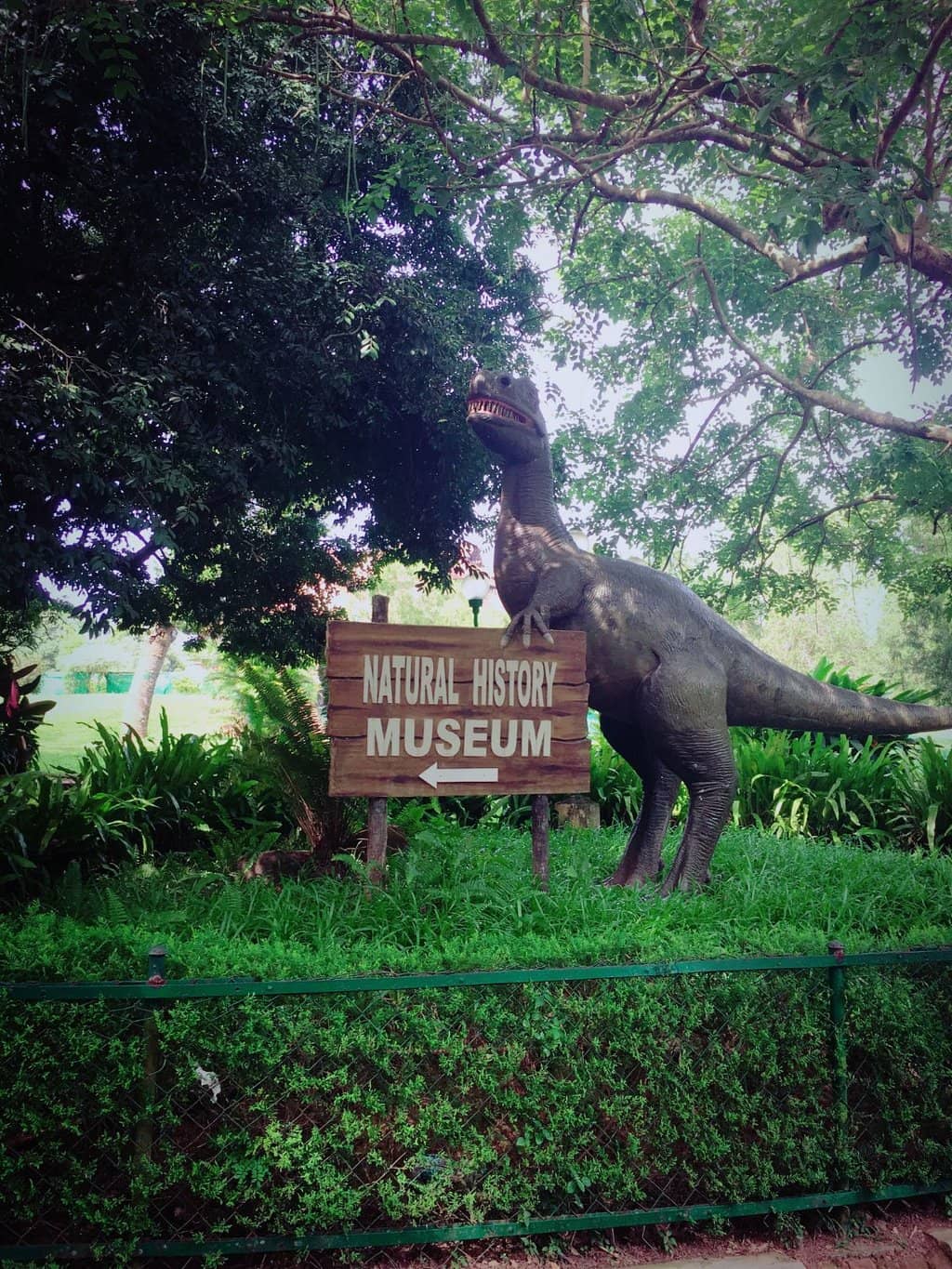 Dinosaur Skeleton
