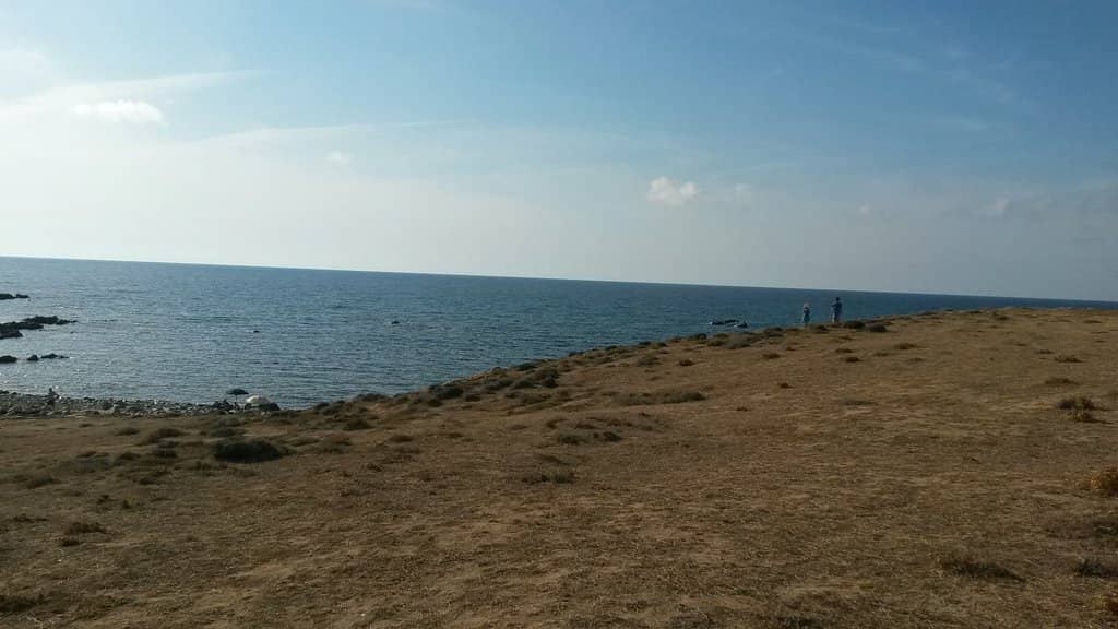 Untamed Coastal Views