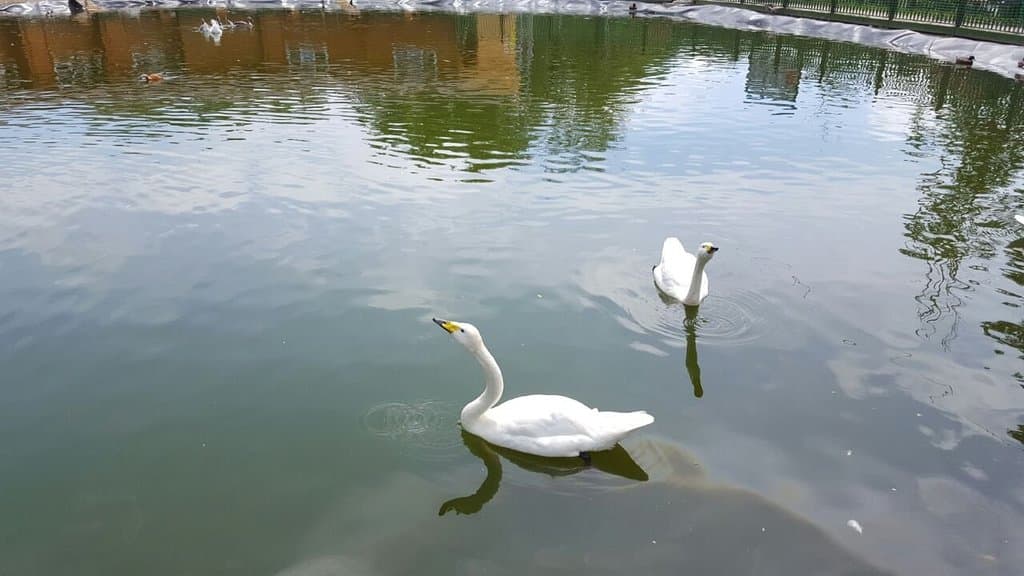 Sakhalin Zoo and Botanical Park